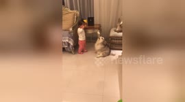 Dog howls 'to comfort crying girl'