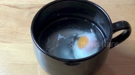 Quick Tips: Microwave Poached Egg in a Mug | One Pot Chef