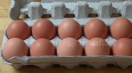 Quick Tips: Testing Eggs For Freshness | One Pot Chef