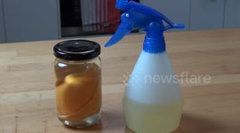 Quick Tips: Orange Oil Household Cleaner | One Pot Chef