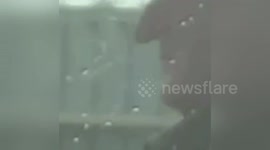 Newsflare Edit - This Guy’s Nose Is HUGE !