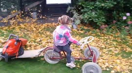Great new way to keep your garden leaf-free