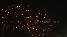 Fireworks Fan Appreciation Jax Jumbo Shrimp