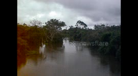 Brazil, Brasil. Amazon river. Río Amazonas. Santarem to Manaos. Narrow area with vegetation. 2014