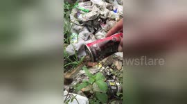 Baby snake rescued after getting stuck in fizzy drink can