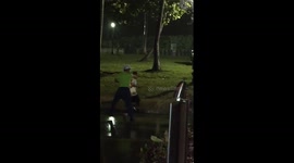 South Beach Guido Fight New Years 2016