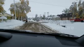 Snow Storm Damage in Havre, MT on 10-3-17