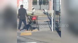 Newsflare Edit - Man on cell phone dances awkwardly on roadside