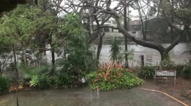 Garden flooded after torrential rainfall in Queensland, Australia