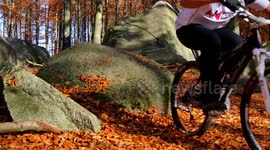 mountain bikes in autumn