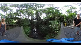 Surrounded by Monkeys in 360 - Bali 360 Video