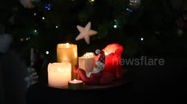 Beautiful lighted Christmas candles and a tiny sleeping Santa statuette, in front of the Christmas tree, selective focus