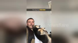 Newsflare Edit - Dog always wants to sit like it’s owner