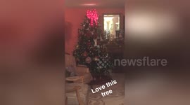 Newsflare Edit - Christmas Fun