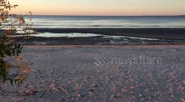 Gorgeous Beach Sunset