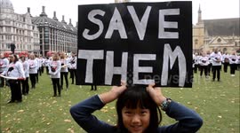 Action for elephants silent demo