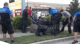 Alligator at Tanger outlets