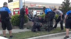 Alligator at Tanger Capture