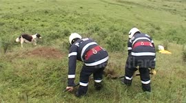 Four dog puppies rescued from a hole under the ground