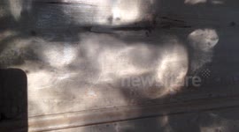A trick of the light or a  ghostly face from the past?