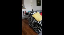 Peeping Puddy Cat caught again!