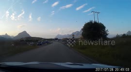 sheep block the main road