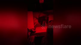 Newsflare Edit - Halloween at Eclipse