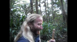 Costa Rica. Cerro Chirripó 3.825m. Birds and moss.Toma 1.Video con aves y musgos. 2014