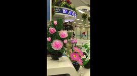 Pyongyang airport