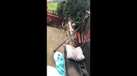 Uk Spider Try’s To Bite