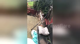 Newsflare Edit - Uk Spider Try’s To Bite