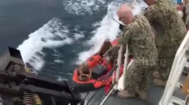 Coast Guard Training