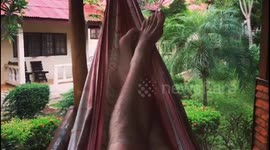 Relaxing in a hammock