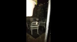 Up close and personal with an Orb Weaver Spider