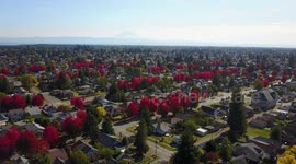 Looks like fall