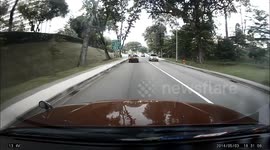 Boy dashed onto road to retrieve skateboard