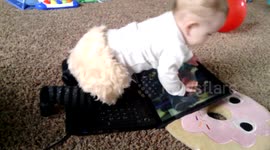 8-Month-Old Crawls All Over My Computer -- ToddlerKeys