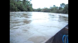 Ecuador. Amazon jungle. Canoe, raft, rapids river. Selva amazónica. Paseo en canoa con rápidos. Toma 3. 2014