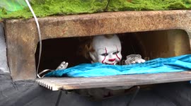Huge decorative pumpkins on display in US town