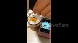 Cafe owner makes pet-inspired latte art in Taiwan