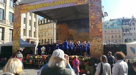 Street Concert of elvis presley - I can't wait