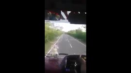 Elephant blocks road for banana treat, ransacks bus for more