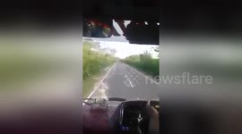 Newsflare Edit - Elephant blocks road for banana treat, ransacks bus for more