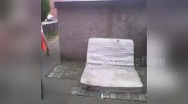 Newsflare Edit - Prankster gets knocked out