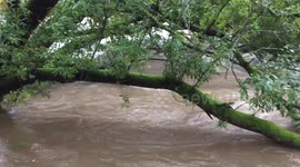 River Kent flooding