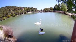 A beautiful beautiful lake 50km out of Athens in Greece--BELETSI LAKE--