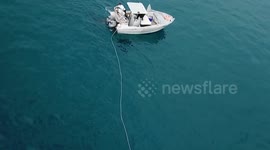 Shark attacks boat