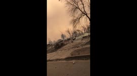 Santa Rosa resident drives around incinerated neighbourhood