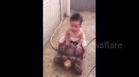 Six-month baby rides huge tortoise