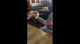 Baby Eats Lemon for the First Time